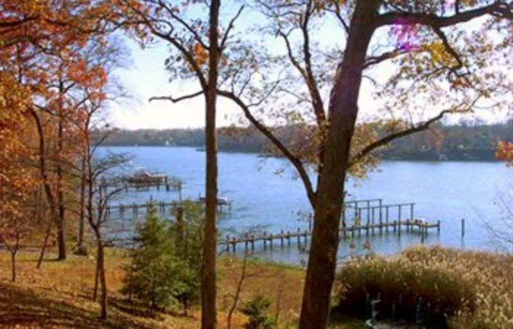 Laurel Grove Inn Riva Camera foto